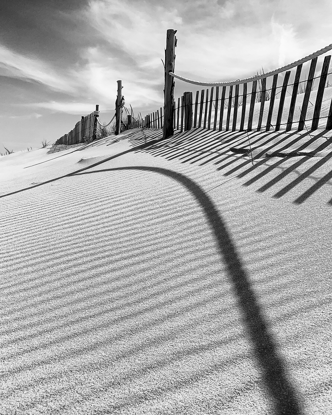 Lines in the Sand
Archival digital print
11″ x 14″
$80
Doug Miller
