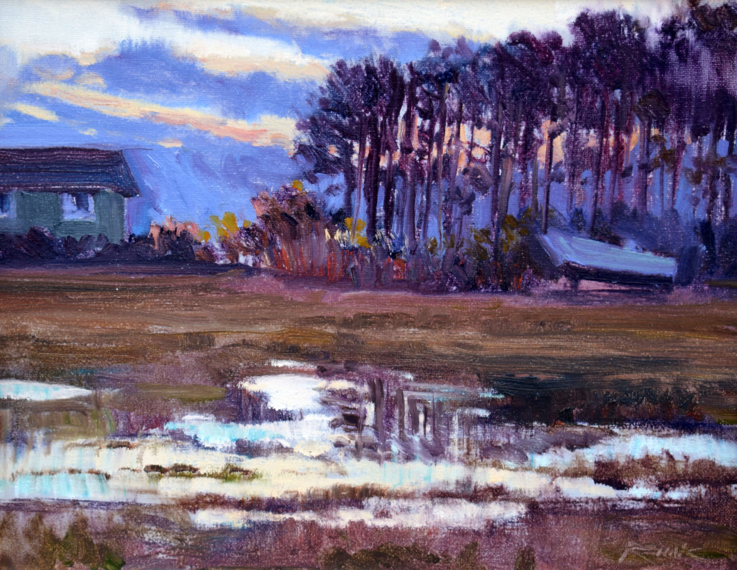 Eastern Shore Puddles
oil
11″ x 14″
$720