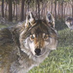 "Caught in the Gaze" acrylic and colored pencil, $4,800