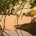 "Wandering the Mangroves" acrylic and colored pencil, $4,200