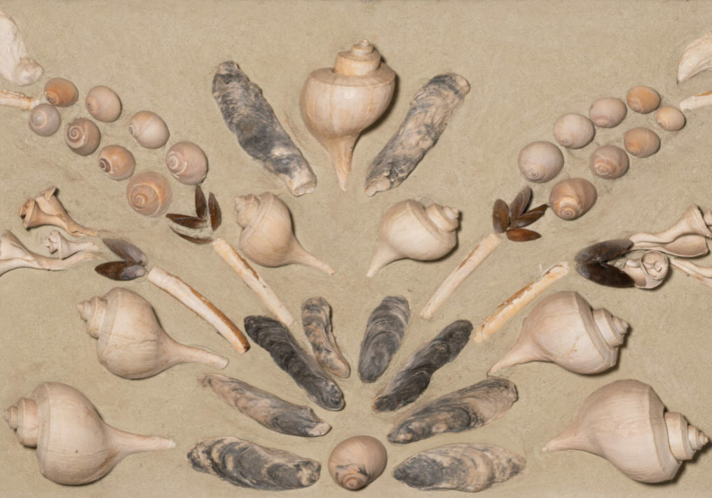 Louise Corkran, Seashell Mural